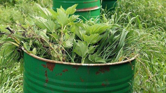 Удобрение из травы: жидкий настой для подкормки, компост, сбраживание