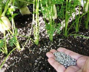 Удобрения для рассады – какие выбрать и как подкармливать растения