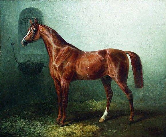 Масти лошадей:названия и фото