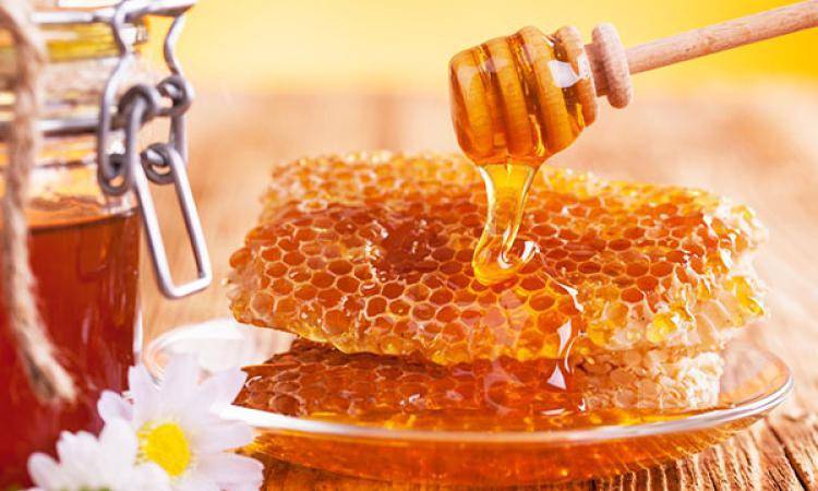 Самый вкусный мед в мире