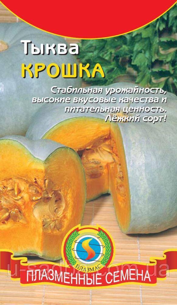 Описание сортов крупноплодной тыквы россиянка, конфетка, крошка, стофунтовая и другие, их выращивание