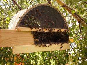 Изготовление ловушки для пчел