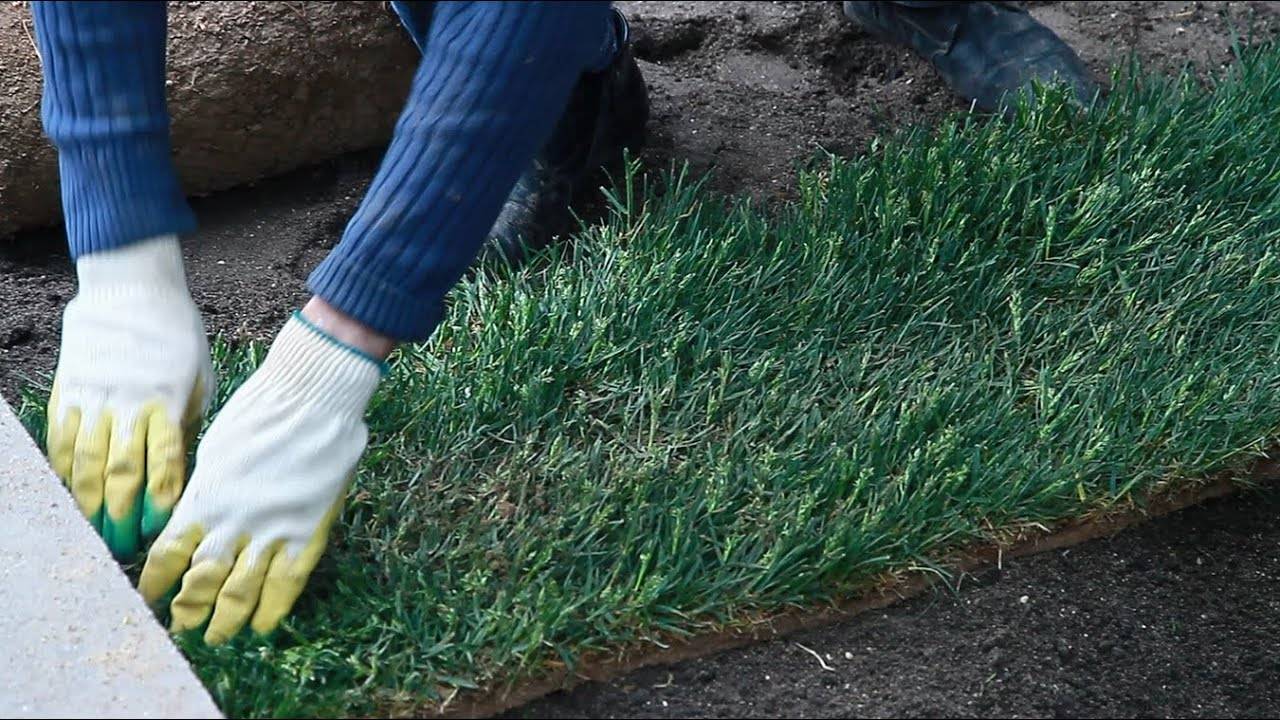 Правильная укладка рулонного газона: как постелить его своими руками