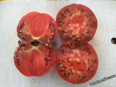 Почему не всходят семена томатов на рассаду и что делать