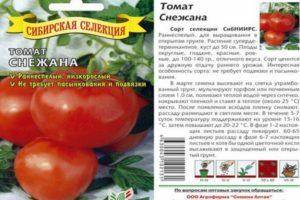 Как правильно сажать и ухаживать за помидорами?