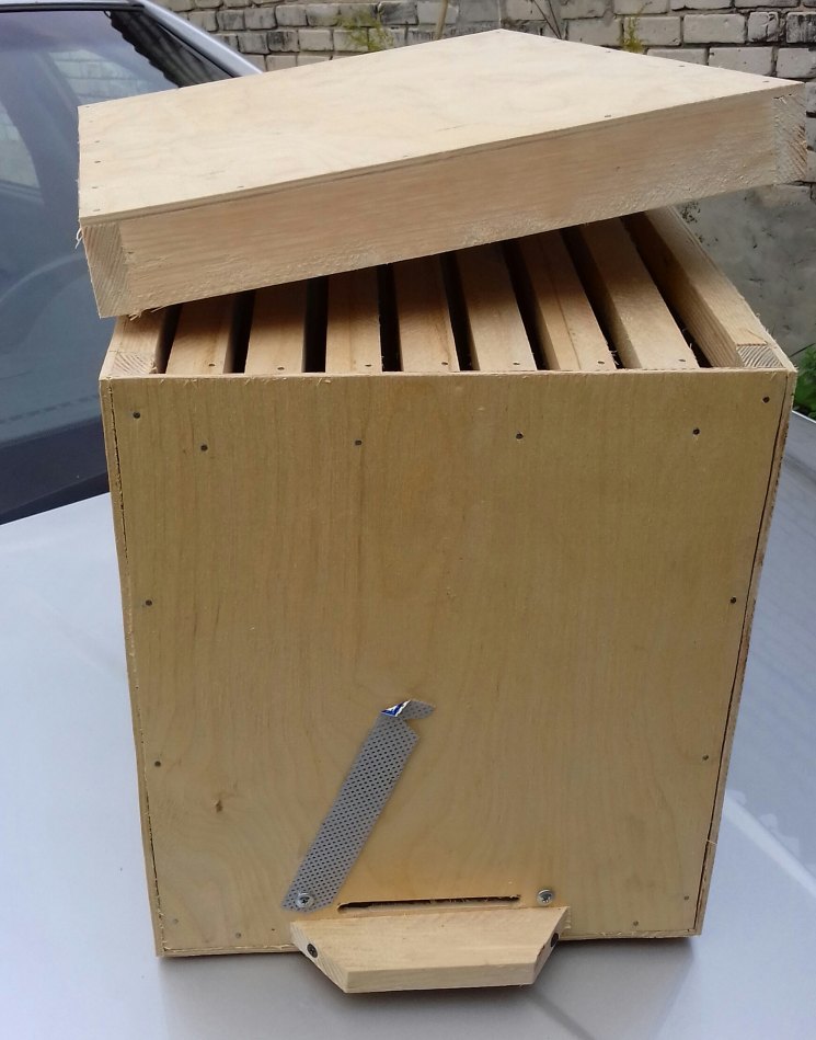 Ловушка для пчел: изготовление и места установки