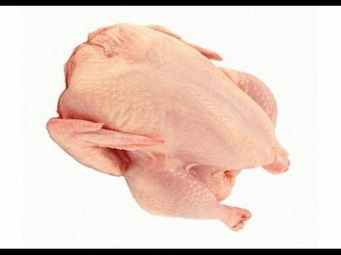 Как зарубить курицу и разделать — советы начинающим птицеводам