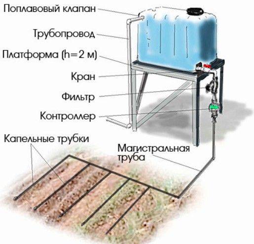 Автоматический полив газона своими руками: устройство поливных систем газона, рекомендации