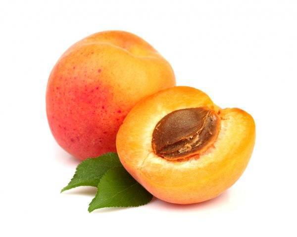 Сорта гибридов персика и сливы название. гибриды сливы, абрикоса и персика: названия и описание новых фруктов