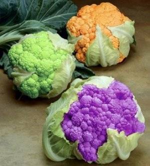 Лучшие сорта цветной капусты: описание и характеристики, уход и выращивание