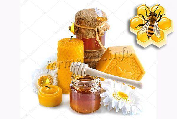 Пчелиный воск: состав, химические свойства, производство и потребление. 105 фото пчелиного воска и варианты его использования