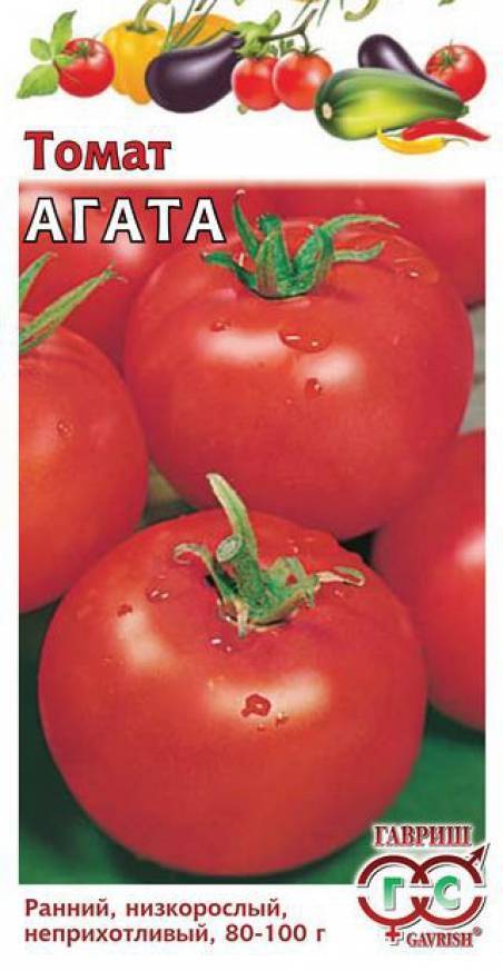 Раннеспелый, с необычными плодами сорт томата «желтая карамель f1»: описание, характеристика, посев на рассаду, подкормка, урожайность, фото, видео и самые распространенные болезни томатов