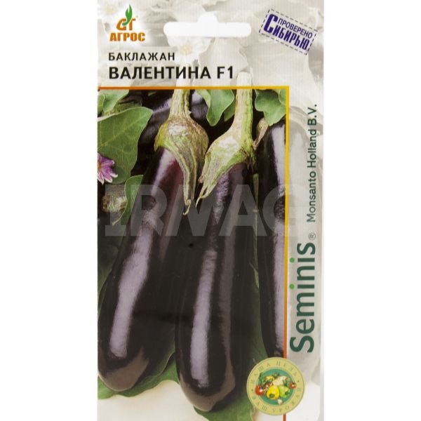 О сорте баклажанов Валентина f1: описание, агротехника выращивания сорта