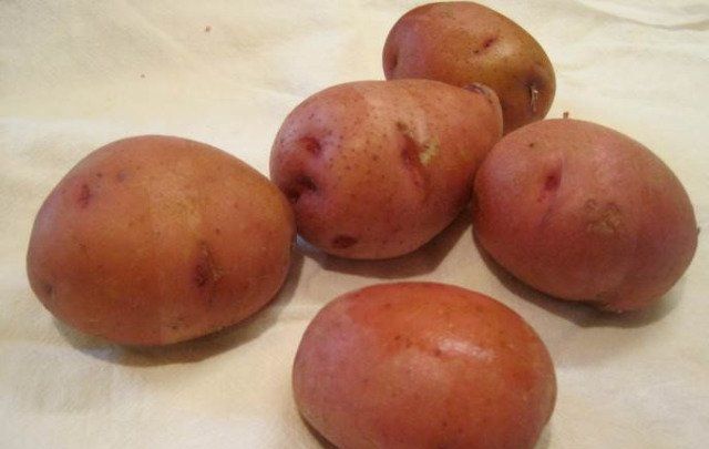 Посадка картофеля семенами: особенности и технология