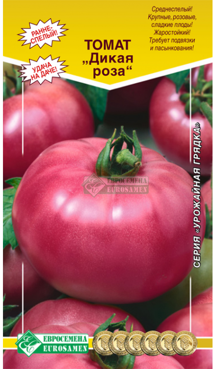 Обзор сладких и урожайных сортов розовых помидор