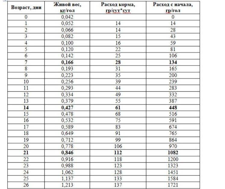 Таблица веса бройлеров по дням: максимальные показатели роста цыплят, средний привес за 14 дней. сколько весит бройлер по норме в 1 месяц?
