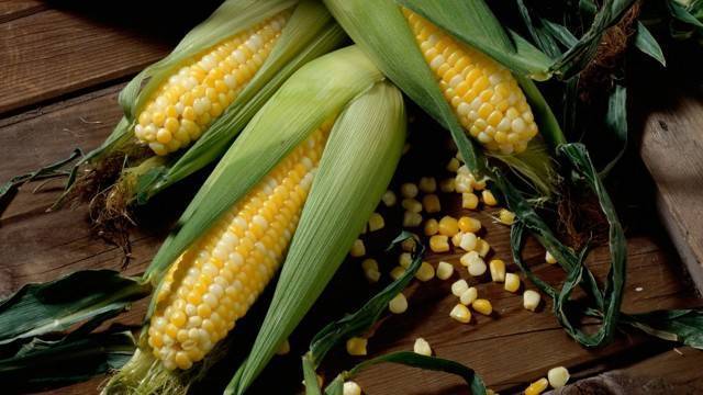 Выбираем посадочные дни для кукурузы по лунному календарю 2020 года