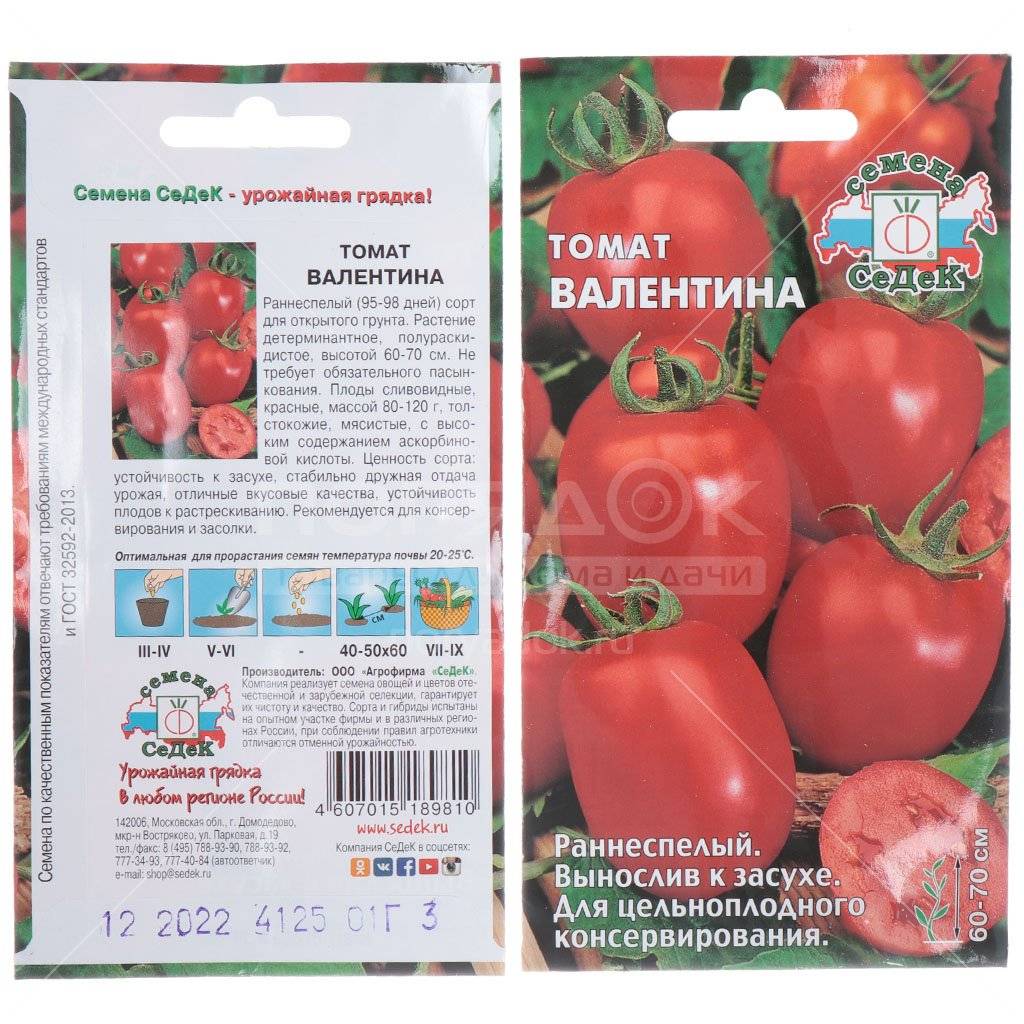 Сорт томатов «валентина»: описание, характеристика, урожайность, фото и видео