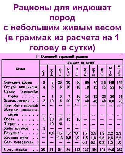 Можно ли давать индюшатам. Таблица рациона питания для индюков. Рацион питания для индюков с 1 месяца. Таблица кормления индюшат. Рацион кормления индюков таблица.