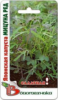 Савойская капуста: выращивание в открытом грунте, посадка и уход