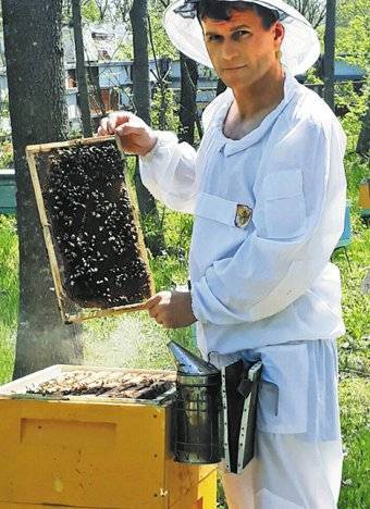 Как извлечь мед из сот без медогонки