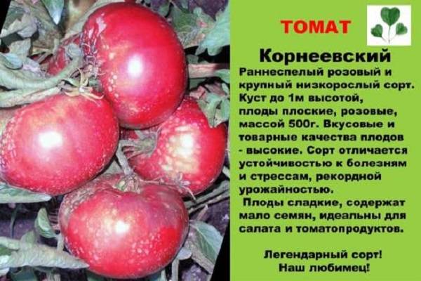 Томат сибирский скороспелый: описание и характеристика сорта, отзывы, фото, урожайность | tomatland.ru