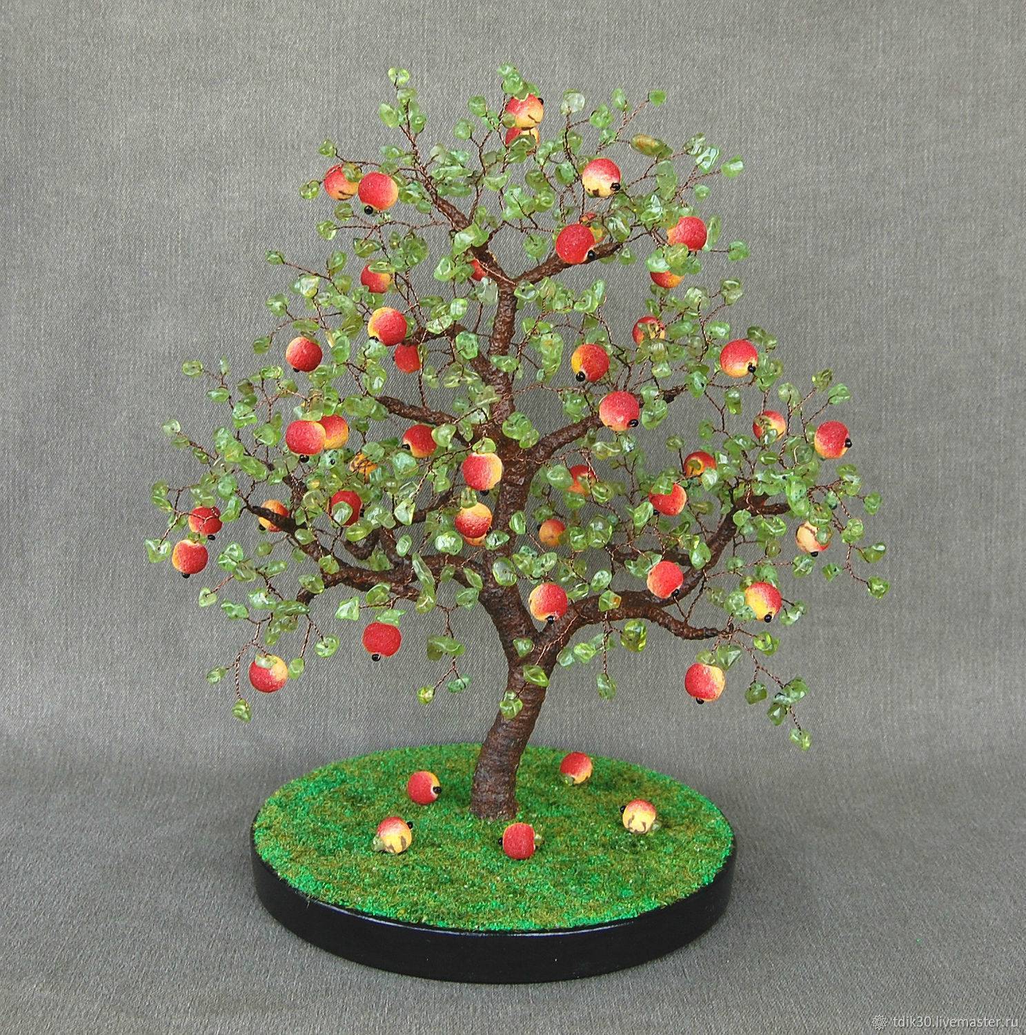 Листья и цветы яблони: полезные свойства, противопоказания и применение