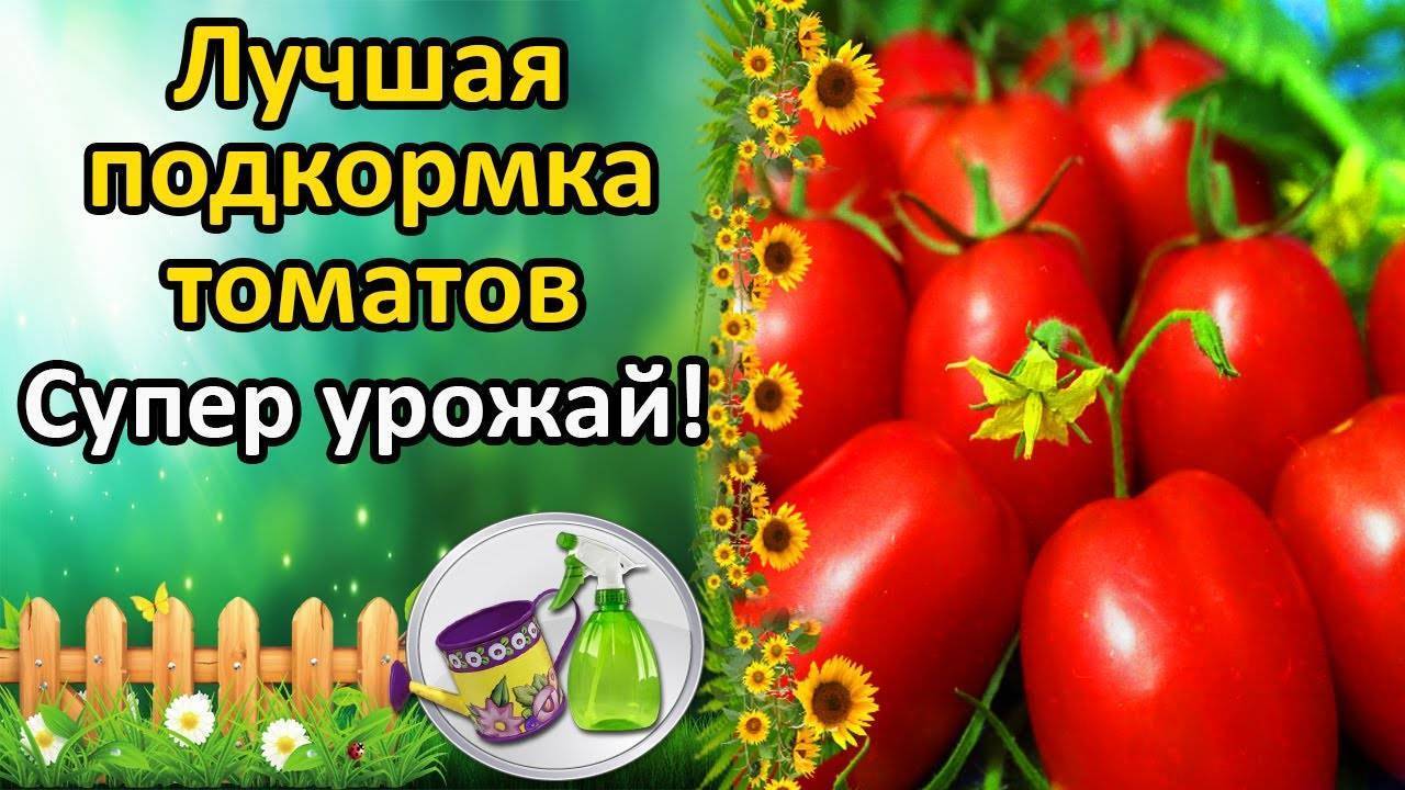 Всё о препаратах для томатов: фитоверм, атлет, завязь, тур и другие, их отличия по составу и применению