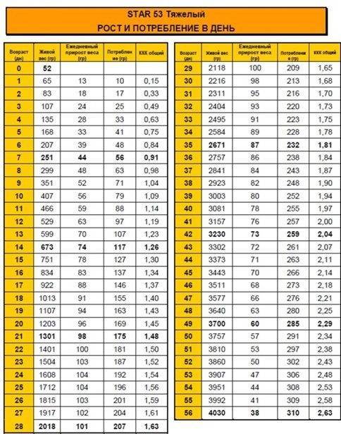 Вес бройлеров в разный период жизни: как определить, таблица набора веса по дням
