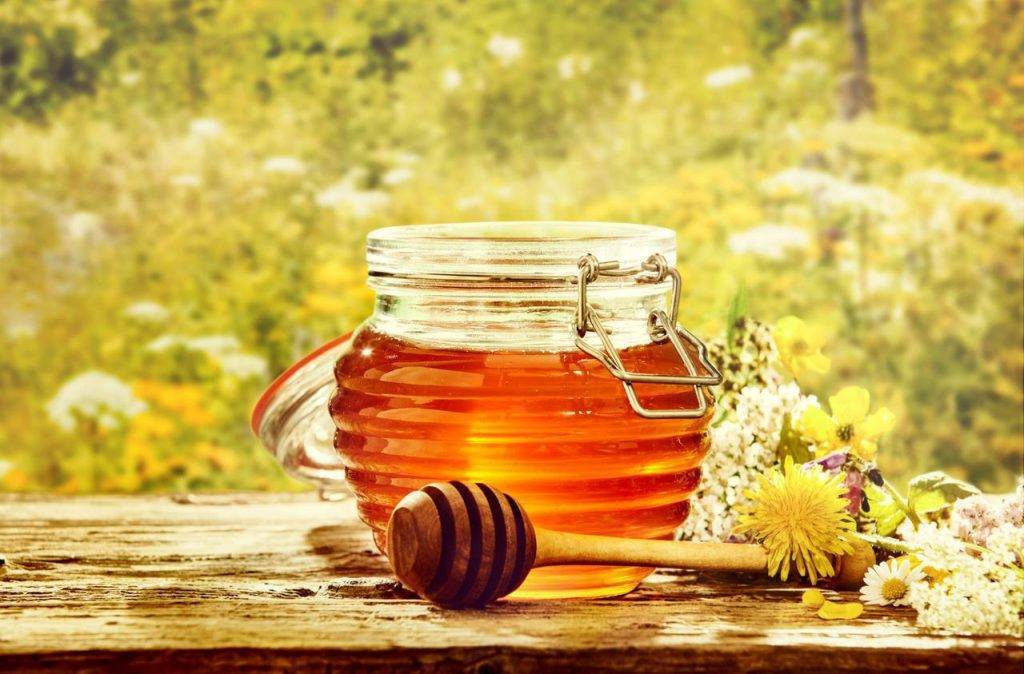 Какой мед самый полезный и самый вкусный