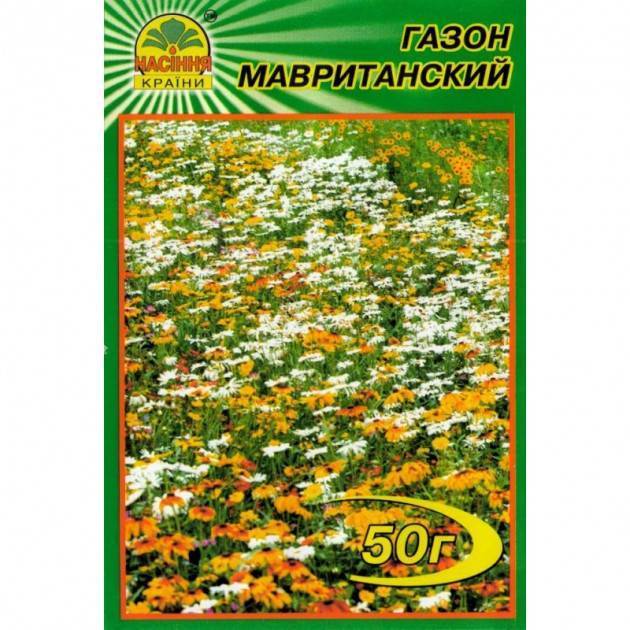 Мавританский газон - плюсы и минусы, состав и уход