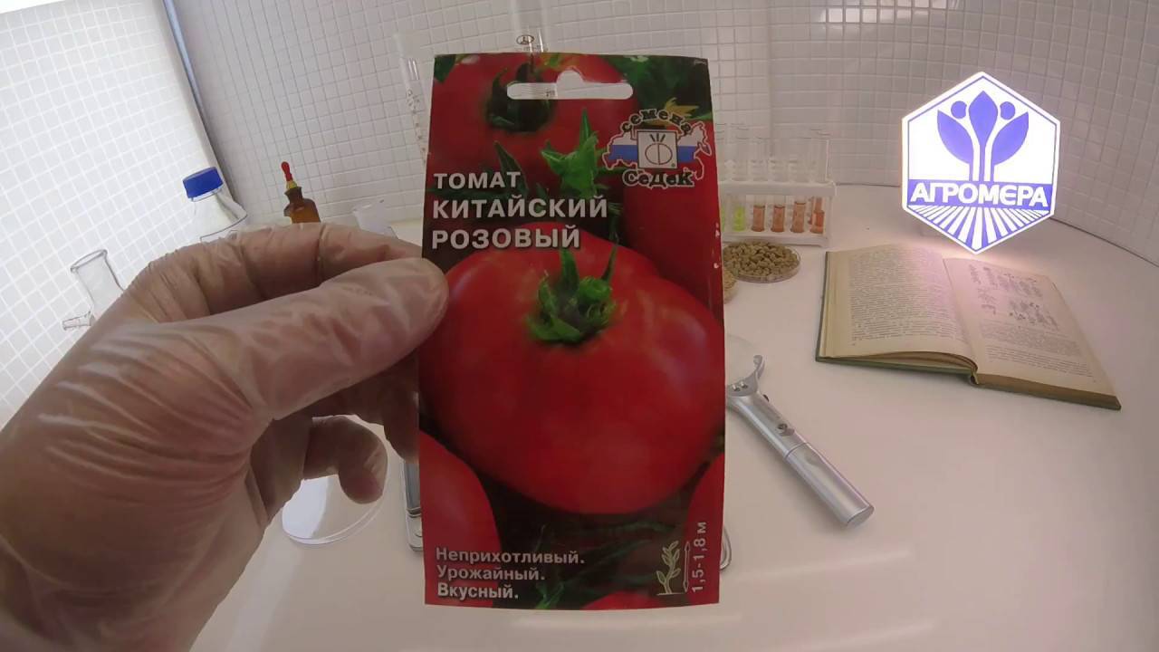 Описание позднеспелого томата алтайский розовый и рекомендации по выращиванию гибрида