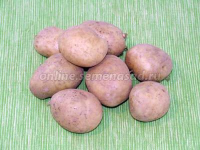 Как выбрать картофель на посадку – советы покупки клубней