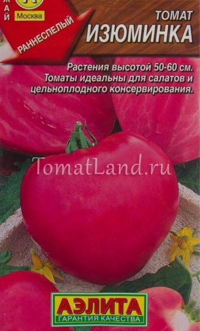 О томате Изюминка: описание и характеристики сорта, посадка и уход