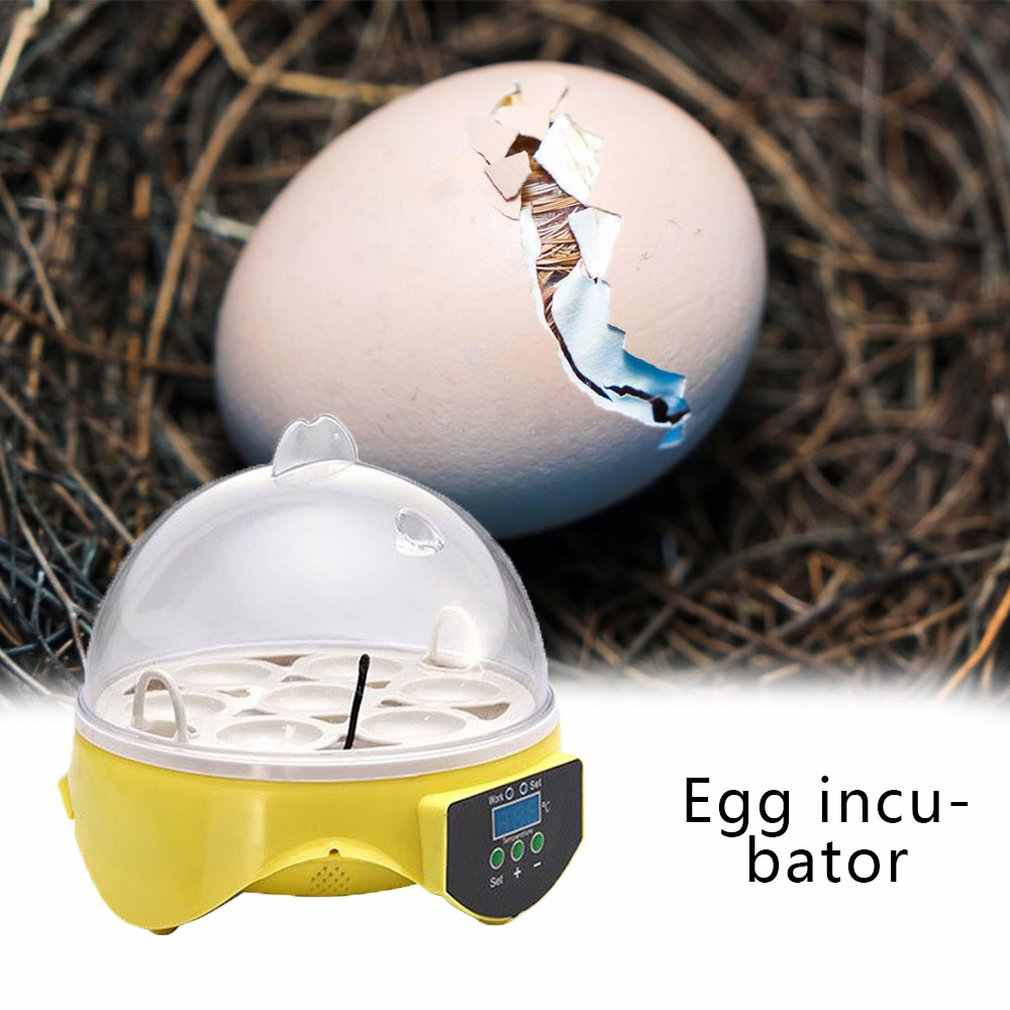 Об автоматических инкубаторах для яиц: какой выбрать, инструкция по эксплуатации