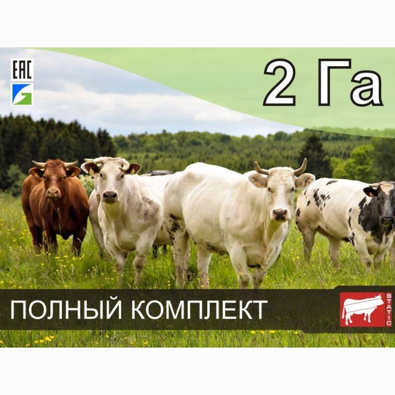 Электропастух для коров: как выбрать и поставить? схема для изготовления пастуха и принцип его работы. как правильно его применять?