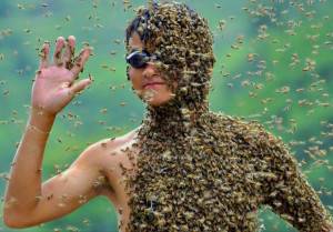 Какие запахи отпугивают ос, какой запах не любят осы, какого запаха боятся пчелы