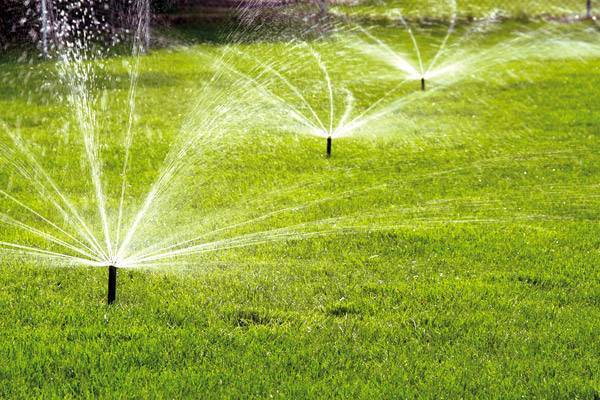 Правила полива газона в жару: частота и нормы, когда лучше поливать