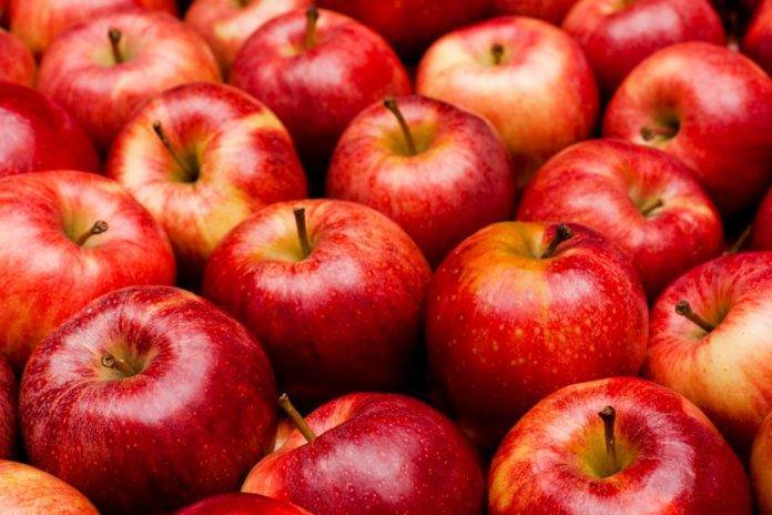О яблоках Гала: описание и характеристики сорта, посадка и уход, выращивание