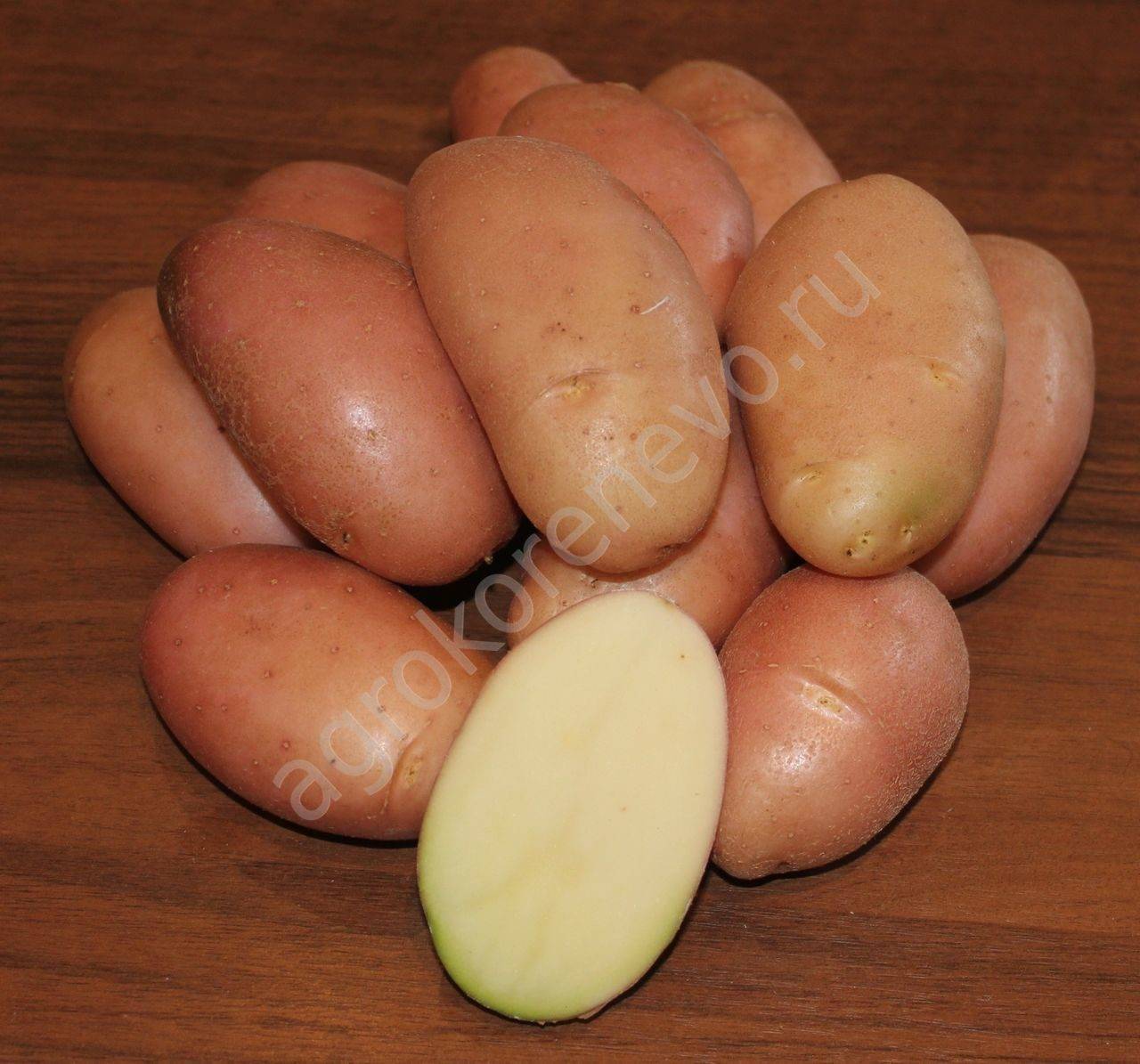 Цветной картофель – ценность овоща и лучшие сорта