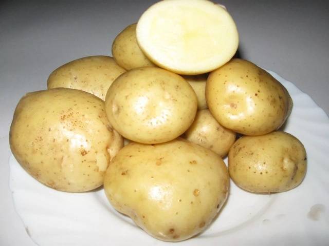 О картофеле элита: описание семенного сорта, характеристики, агротехника