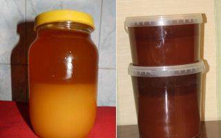 Забродивший мед — как быть и можно ли есть?