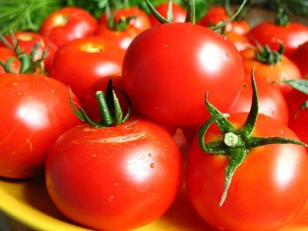 Колхозница: описание сорта томата, характеристики помидоров, посев