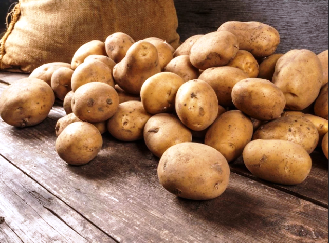 Подготовка картофеля к посадке – отбор, проращивание, озеленение