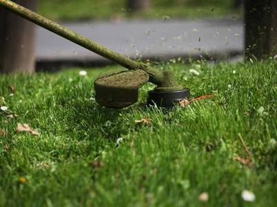 Правила стрижки газона с помощью газонокосилки, триммера: условия и безопасность
