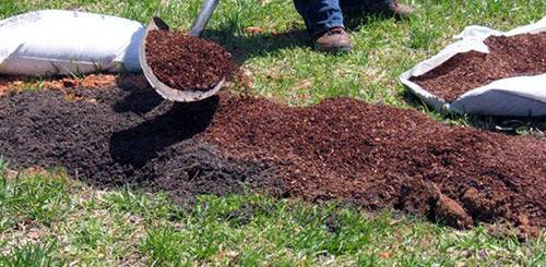 Как подготовить почву для посадки клубники в открытом грунте, домашних условиях