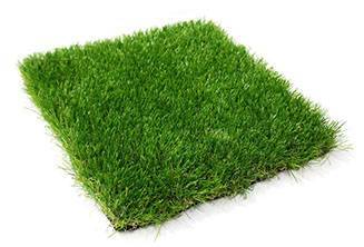 О спортивном виде газона: описание, какие травы входят в состав, характеристики