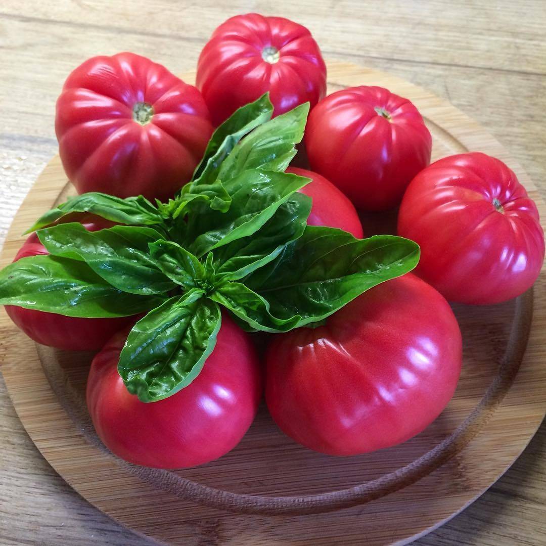 Фото, видео, отзывы, описание, характеристика и урожайность сорта помидора «розмарин»