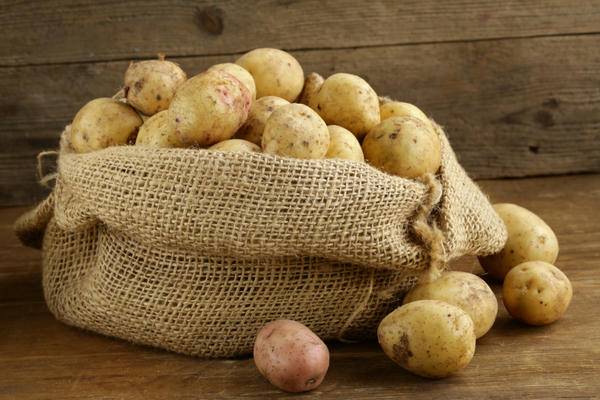 Как хранить картофель дома – оптимальные условия + выбор емкостей для хранения