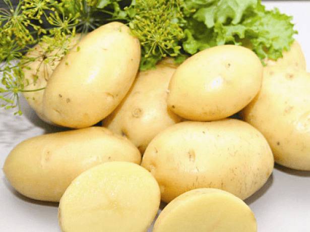 О картофеле Крепыш: описание семенного сорта, характеристики, агротехника
